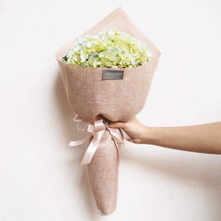 HB09 - Hoa cẩm tú cầu