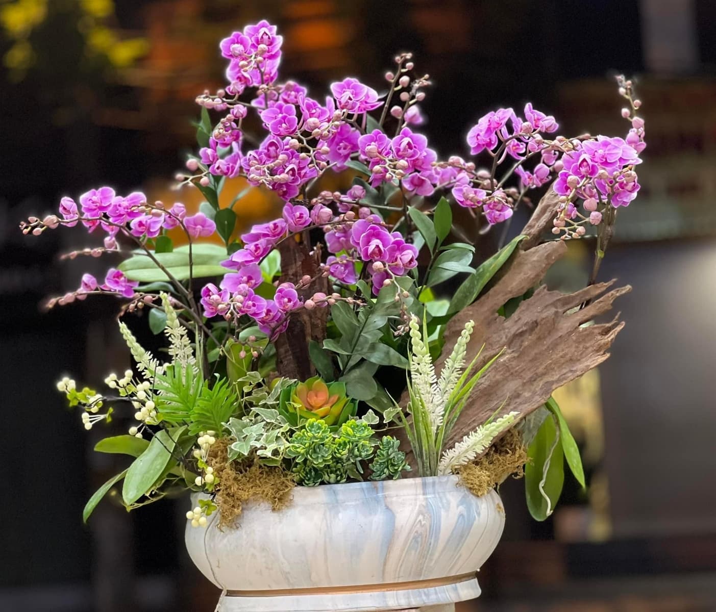 Chậu tiểu hồ điệp tím mix tiểu cành - HĐ106