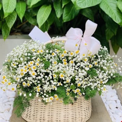 Giỏ hoa baby dễ thương giao tại Hồ Chí Minh - HS50